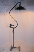 Load image into Gallery viewer, Snow Crane