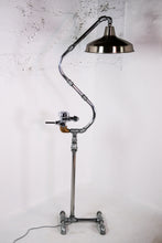 Load image into Gallery viewer, Snow Crane