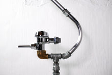 Load image into Gallery viewer, Snow Crane