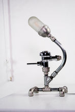 Load image into Gallery viewer, Swandawn