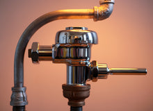 Load image into Gallery viewer, Goose