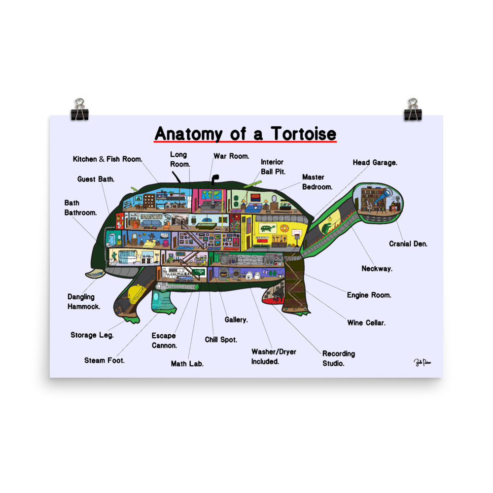 Tortoise - Just The Inside